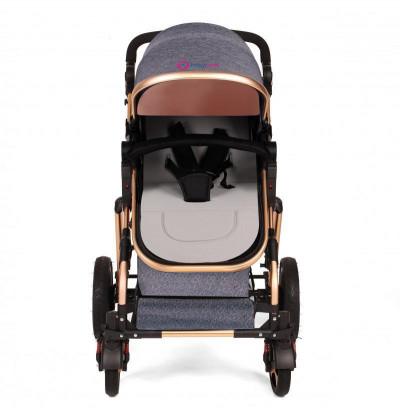 Stroller_with_five_point_safety_harness