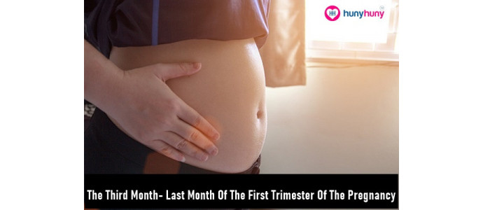 The Third Month - Last Month Of The First Trimester Of Pregnancy
