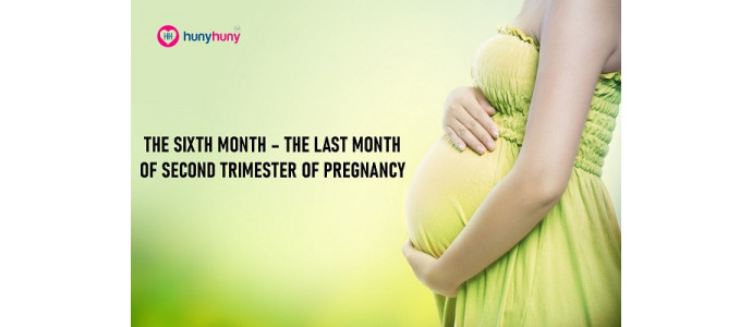 The Six Month - The Last Month Of Second Trimester Of Pregnancy