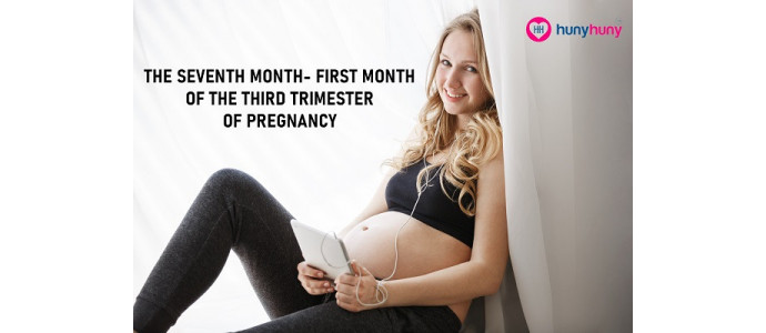The Seventh Month - First Month Of The Third Trimester Of Pregnancy