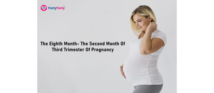 The Eighth Month - The Second Month Of Third Trimester Of Pregnancy